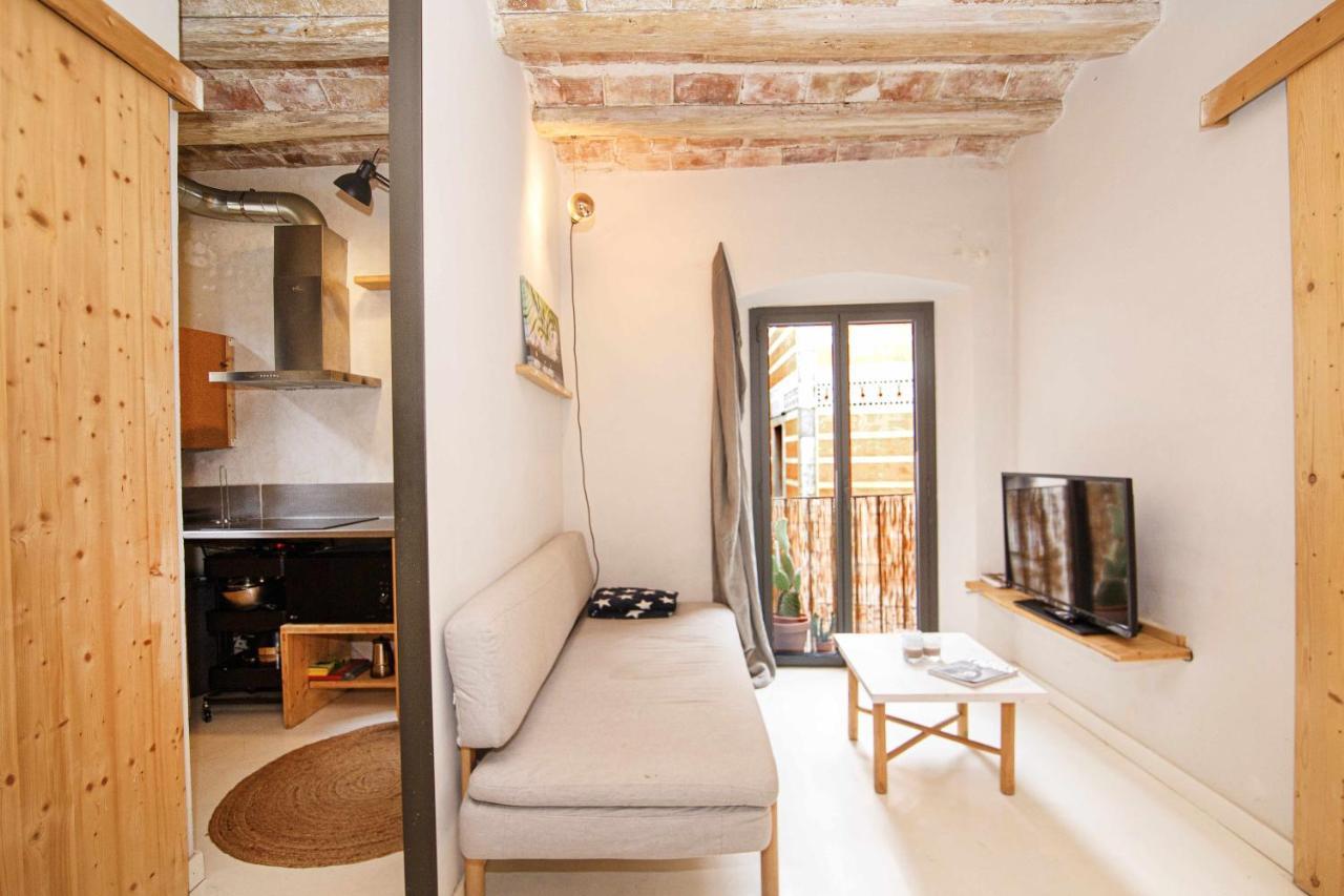 Apartamento Tr Auriga En El Barri Vell Girona Exterior photo